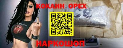 индика Новокубанск
