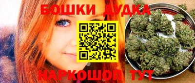 индика Новокубанск